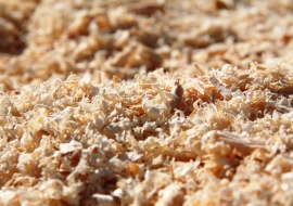 Wood shavings